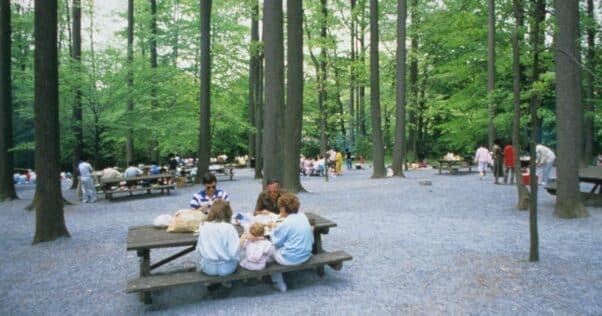 Picnic Area – Longwood Gardens