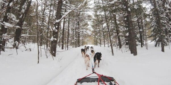 Dogsledding at Nemacolin.