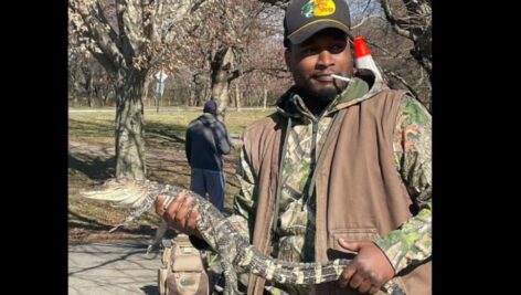 Ike Peyton of Delaware County holds the caiman.