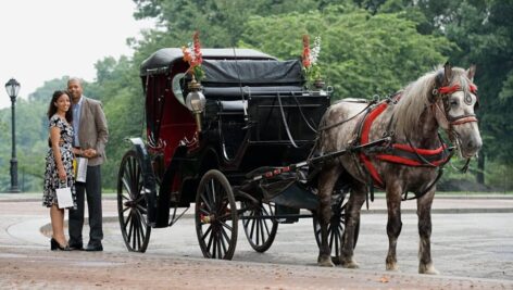 Couple with Horse & Carriage