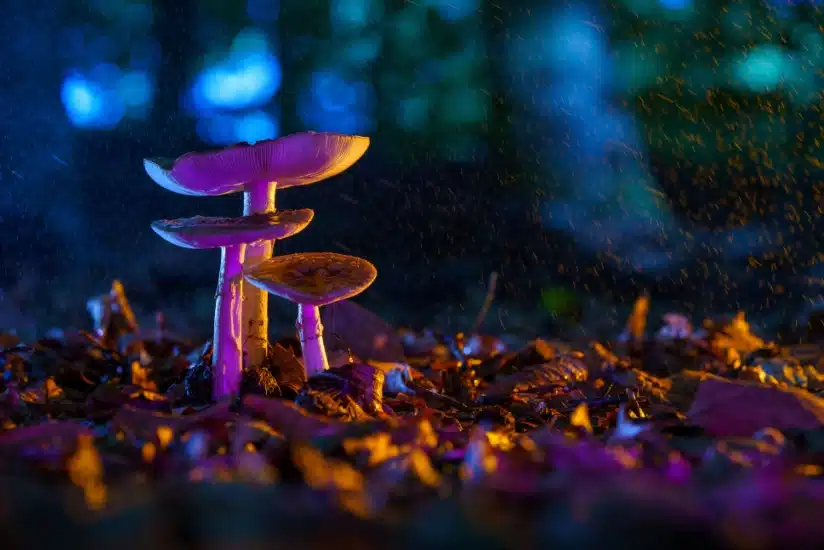 Psychedelic Research