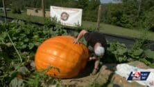 Chris Long recruited Ryan Cook, a West Virginia giant pumpkin farmer