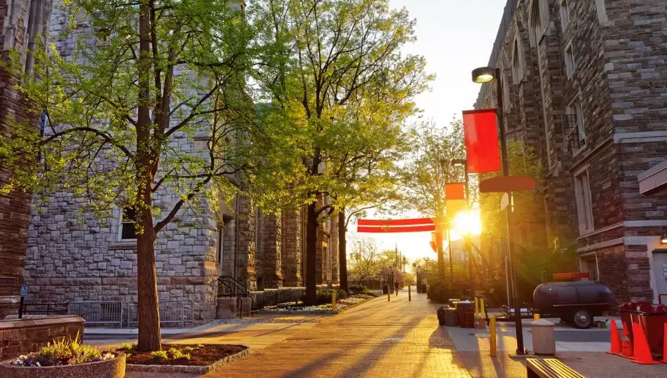 Tree-lined walkway on Temple's Campus