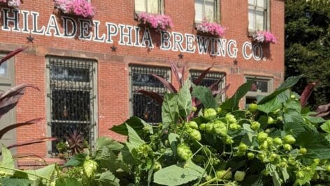 Philadelphia Brewing Company