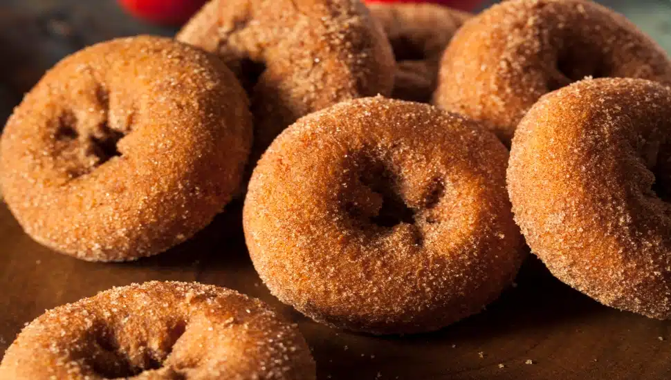 Apple Cider Donuts.