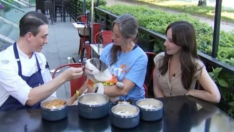 Urban farmer doggy Dinner