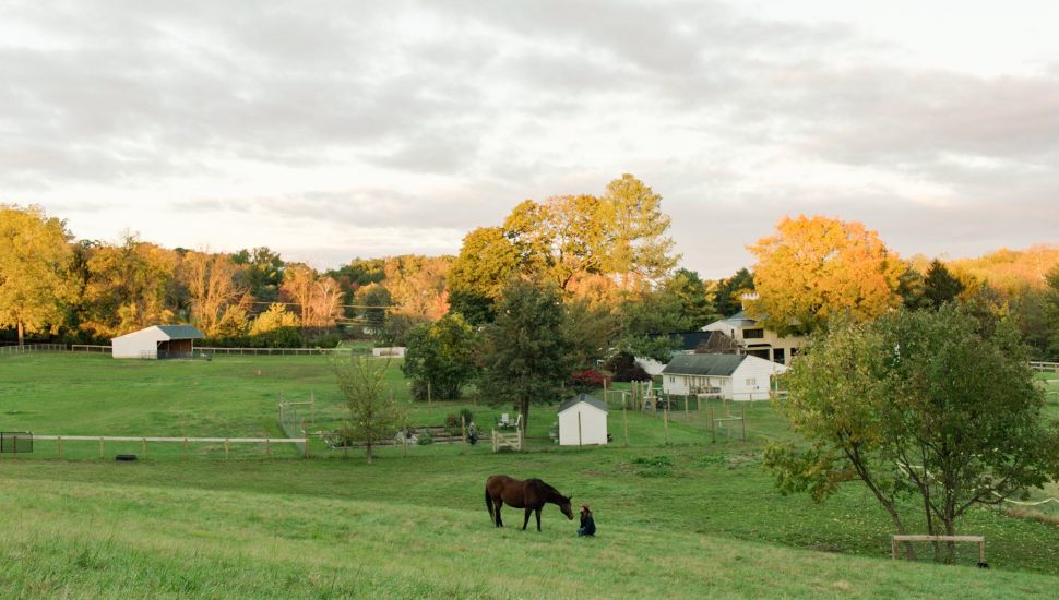 Gateway Horseworks