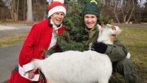 Two people with a goat and a Christmas tree