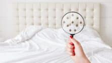 Woman holds lens, shows there are bugs in bedclothes, detects bad insects demonstrates dirty conditions