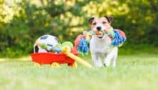 A dog with a toy in its mouth and a wagon with toys