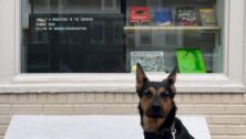 A pup in front of the Bookstore Bakery.