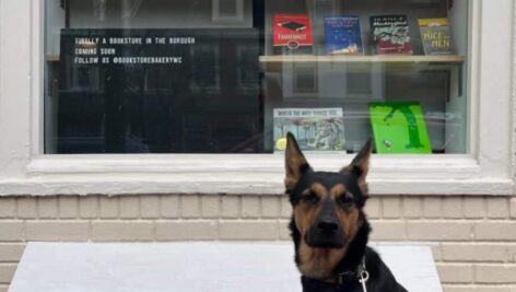 A pup in front of the Bookstore Bakery.