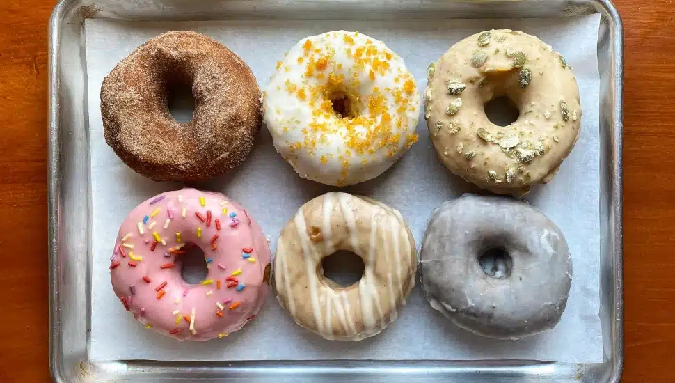 Cake donuts from Okie Dokie Donuts