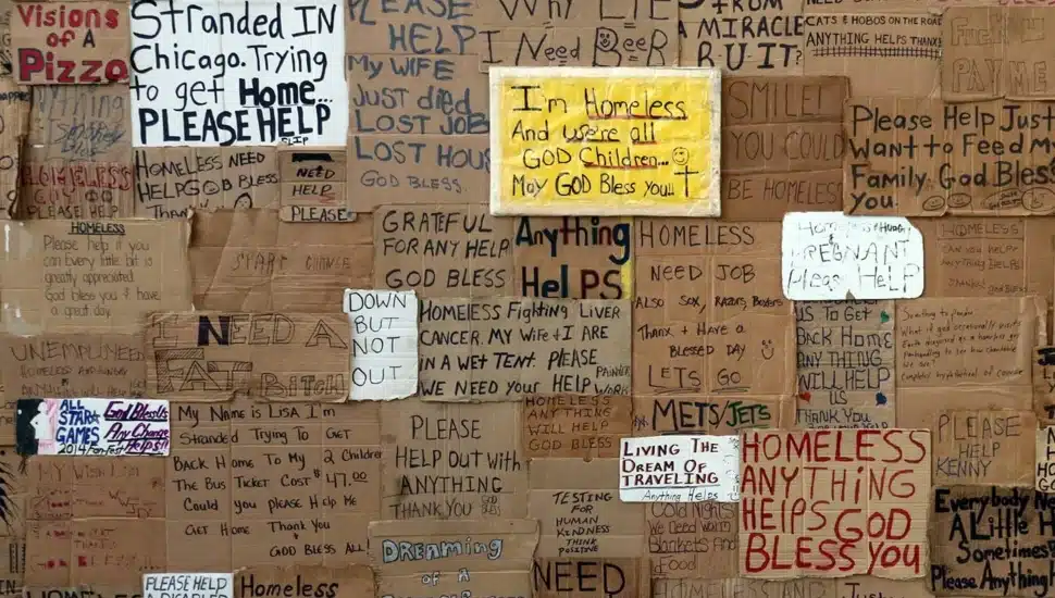 Wall as part of new exhibit