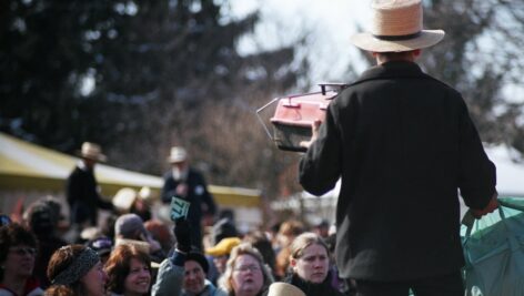 Amish mud sales auction