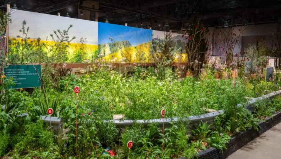Apiary Studios' "Right of Way" exhibit at the 2024 Philadelphia Flower Show.