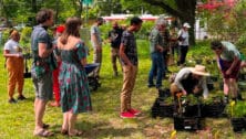 People working for the PHiladelphia Orchard Project.