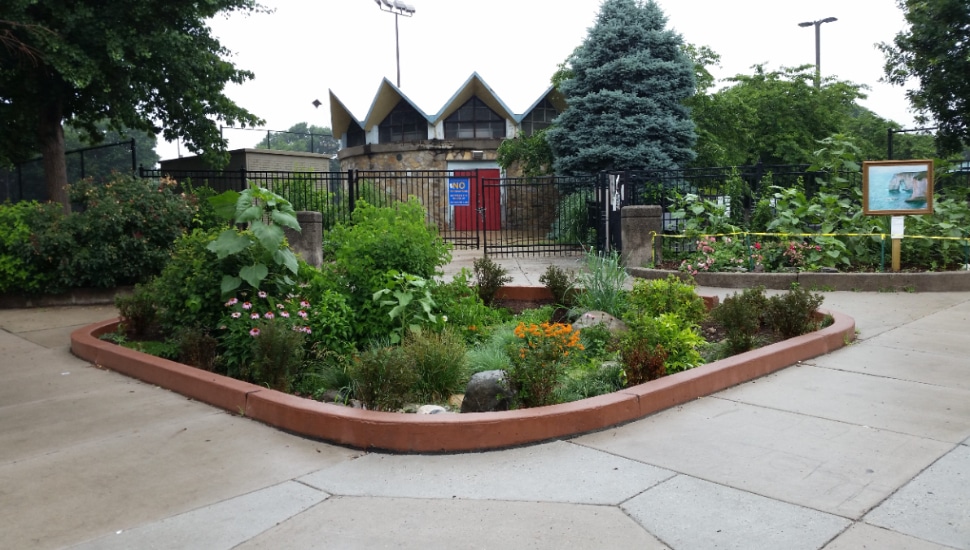 An example of green stormwater infrastructure on City property, this rain garden was installed outside of Columbus Square Park in South Philly.