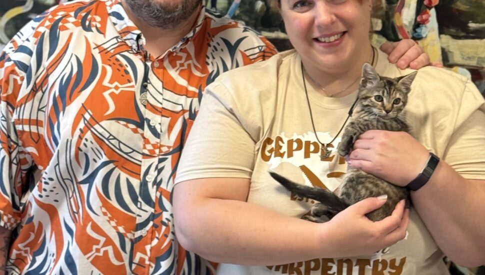 Injured Kitten Rescued from Coatesville Home Now Adopted