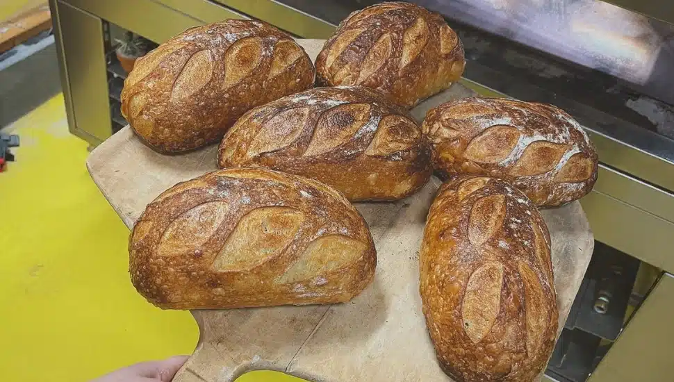 How Dead King Bread in Roxborough Rose from Cult Following to Mainstream Success and Legitimacy