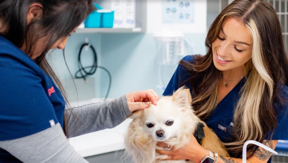 Urgent Care Center for Pets Opens First Pennsylvania Location in King of Prussia