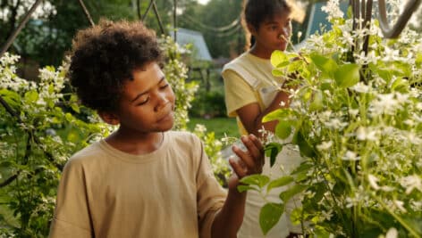 Young Black boy standing between green blooming bushes.