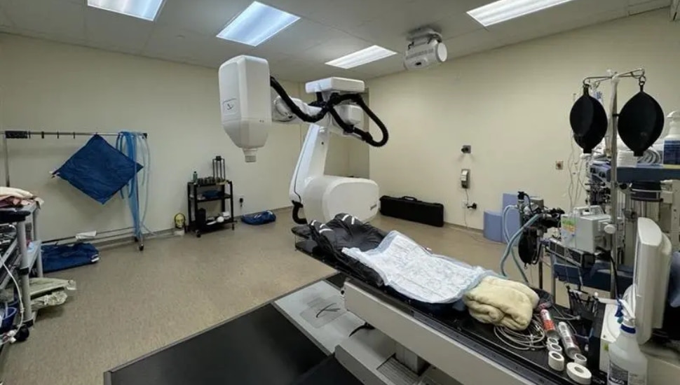 Malvern Gets First of Its Kind Medical Procedure at Veterinary Hospital