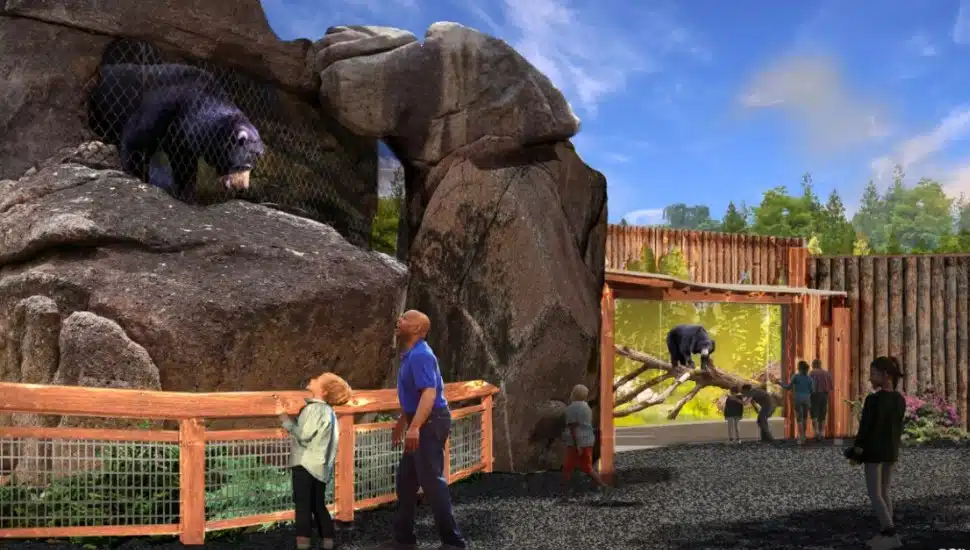 Philadelphia Zoo Embarks on $20M Renovation, Expansion of One of Its Exhibits