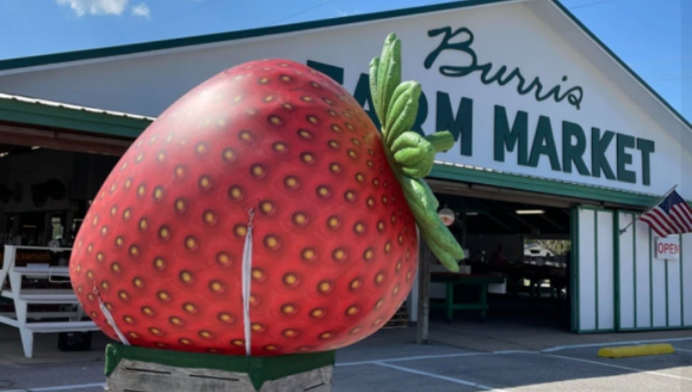 Popular, But Closed, Alabama Farm Market Torn Down for a Wawa