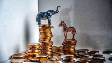 Donkey and elephant on top of stacked coins.