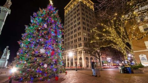 Lancaster City Christmas Tree.