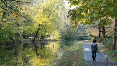 Woman walking her dog along the Delaware Canal in Bucks County.