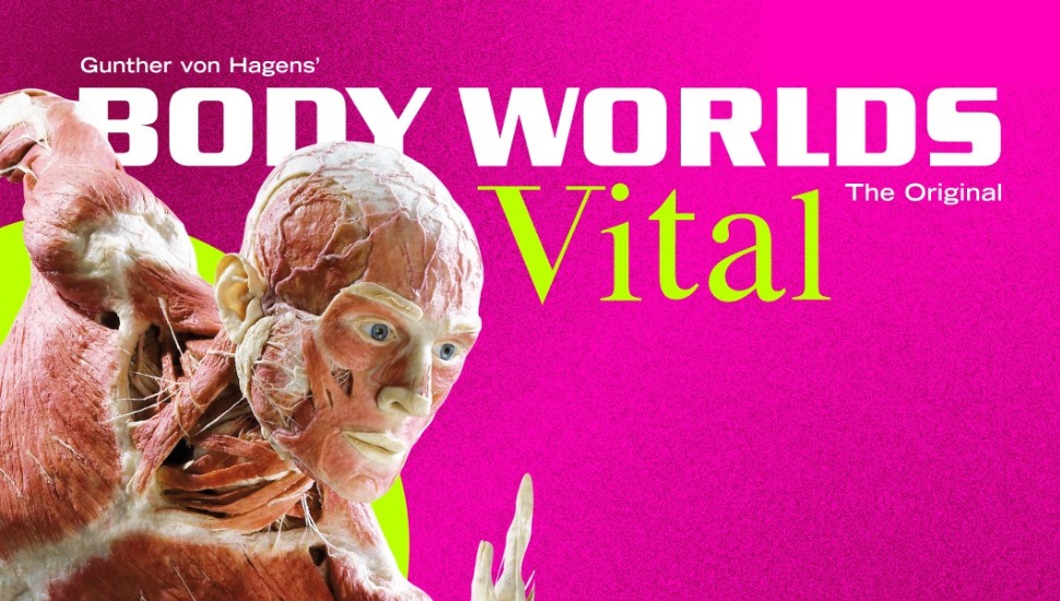 "Body Worlds: VITAL" exhibit flyer.