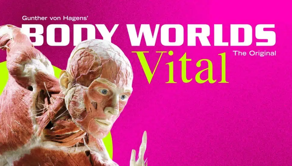 "Body Worlds: VITAL" exhibit flyer.