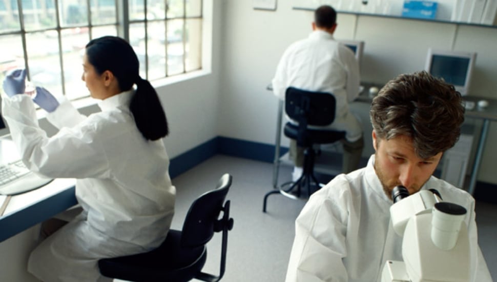Researchers in a lab.