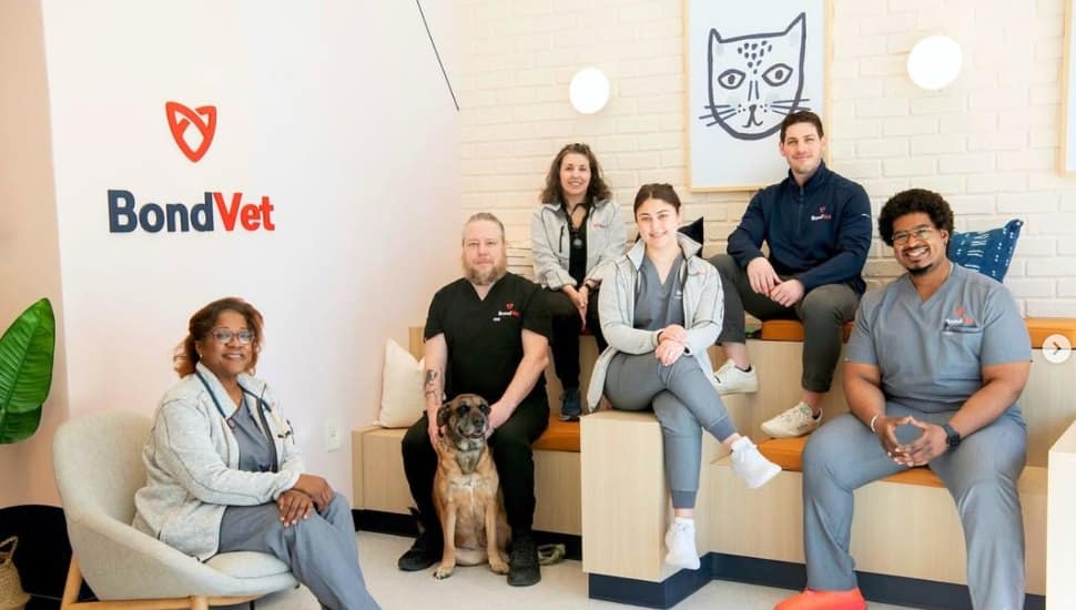 The Bond Vet team at their new Narberth location.