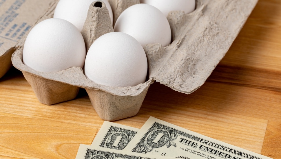 Eggs in a carton with money next to it.