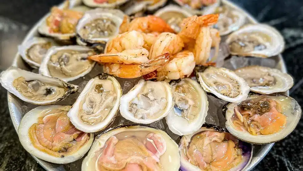 Seafood platter of oysters, shrimp, and mollusks.