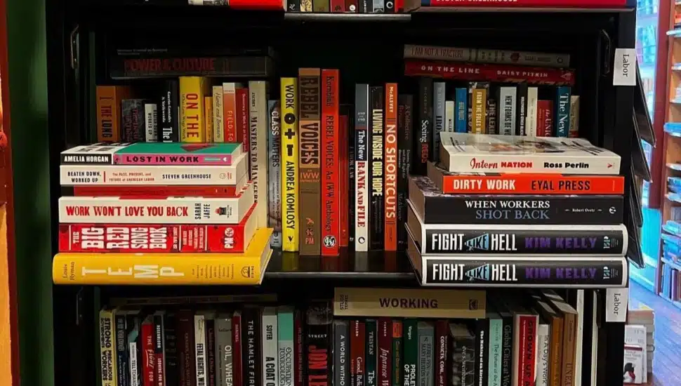 A variety of books inside Bindlestiff Books in West Philadelphia.