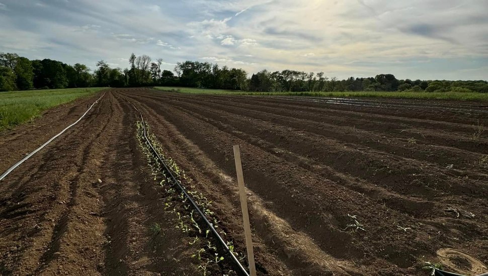 Plowing the field at FarmerJawn property.