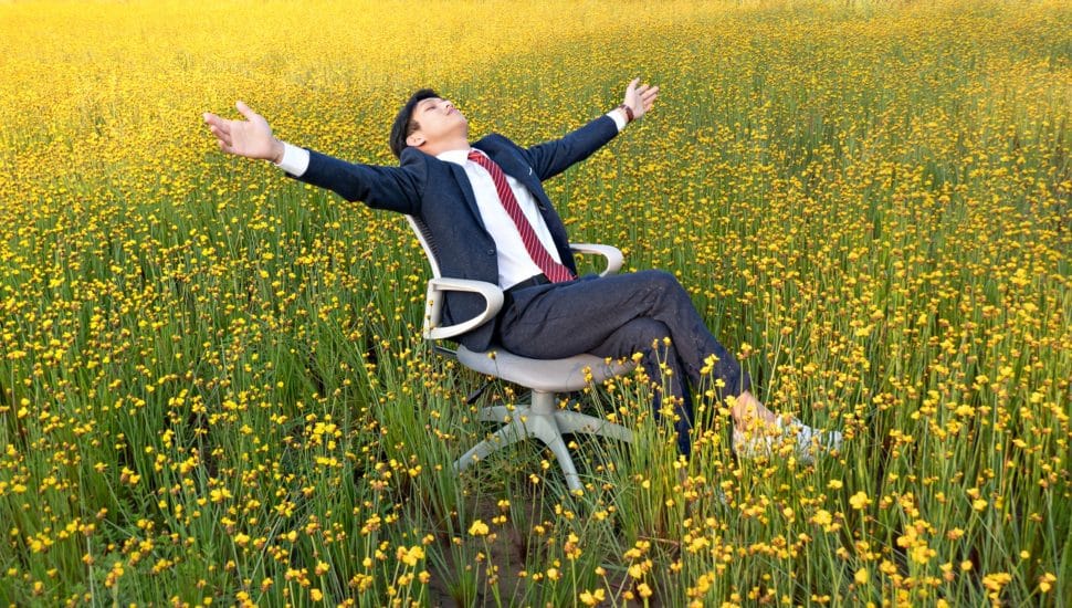 Businessman relaxing in a field of yellow flowers.
