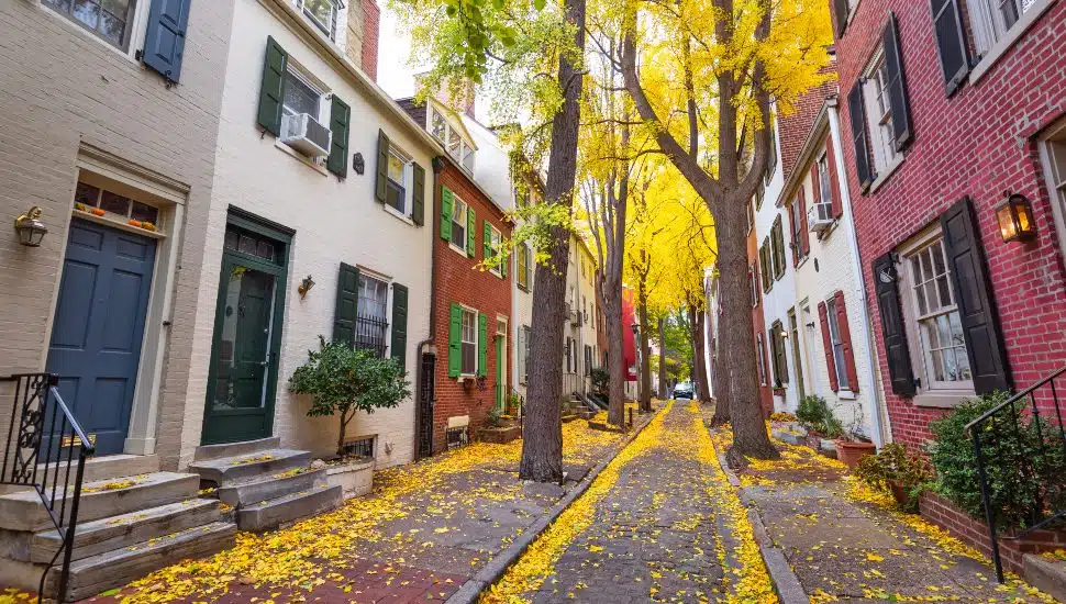 Autumn alleyway in a traditional neighborhood in Philadelphia, Pennsylvania, USA.