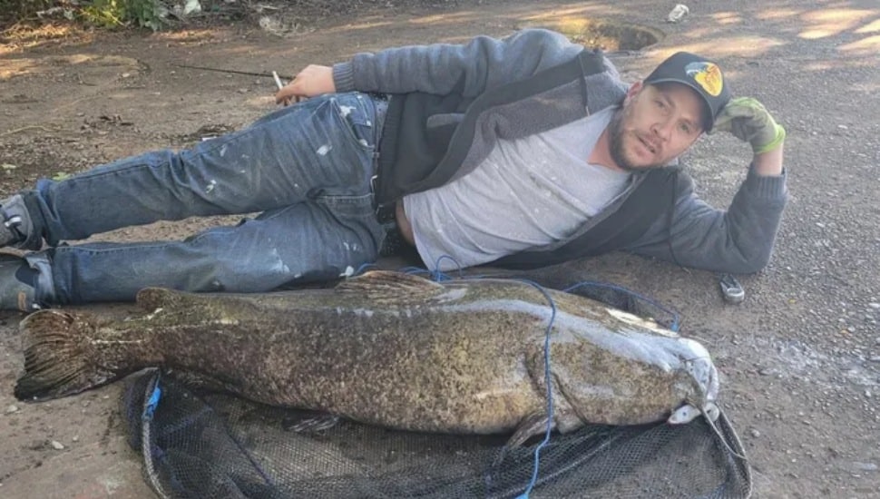 Angler Daniel Brown posing horizontally with large flathead catfish he recently caught.