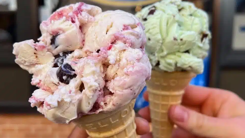 Two ice cream cones from Bassetts.