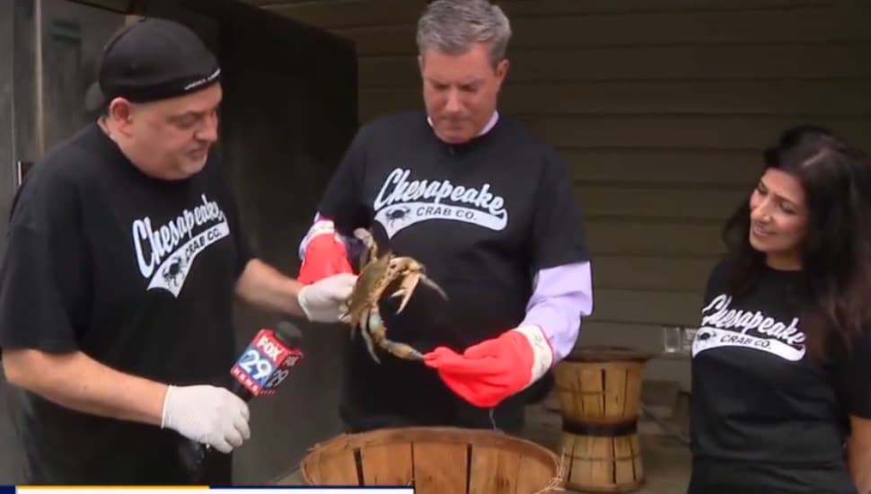 John Renzi, owner of the Chesapeake Crab Company in Garnet Valley (left) and his wife shows Fox 29's Bob Kelly how to sort crabs