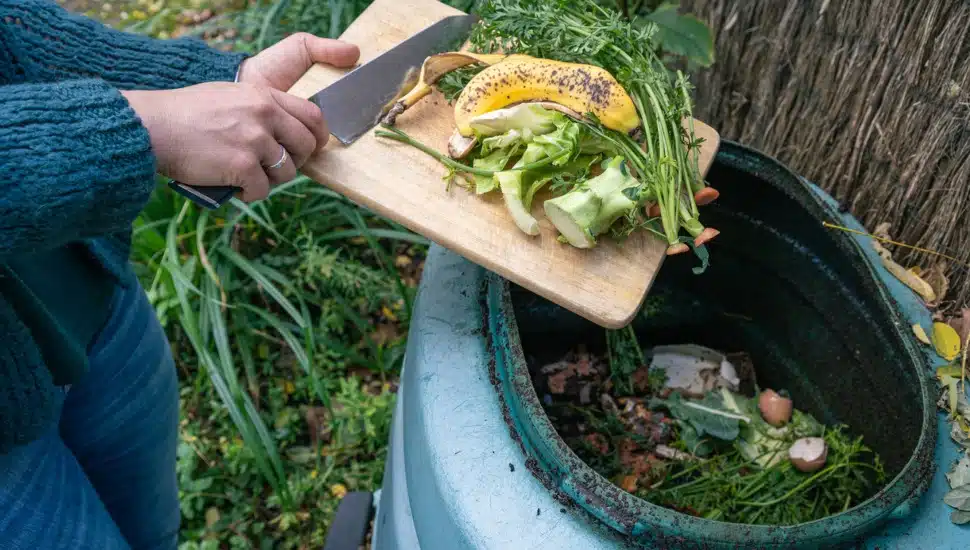 For Philadelphia’s Zero-Waste Enthusiasts, Trash Strike Barely Registered