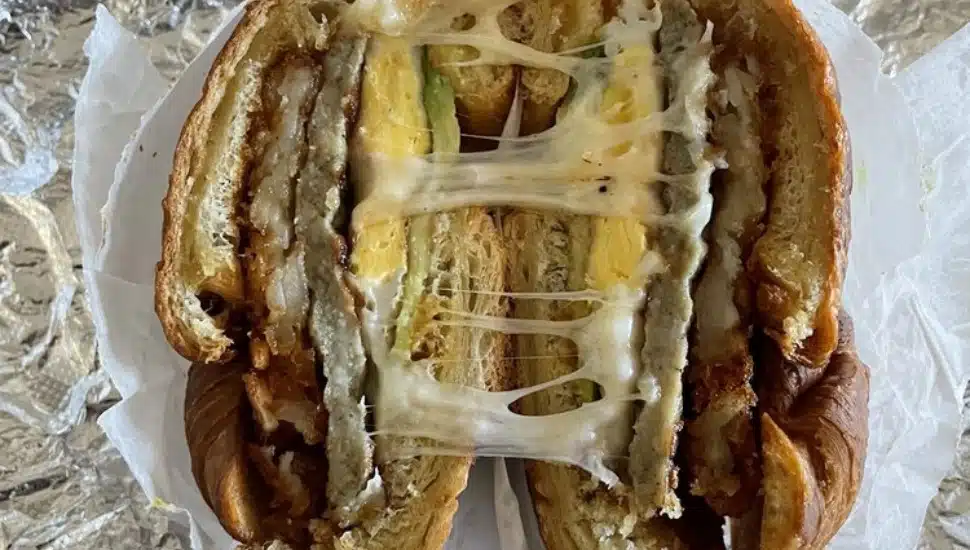 A chicken sandwich.
