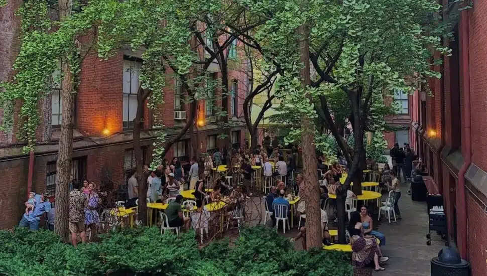 People enjoying drinks and greenery at Frankie's Summer Club.