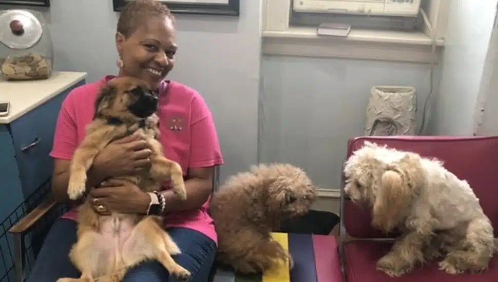 A woman smiles while holding a dog, two other other dogs to her left.
