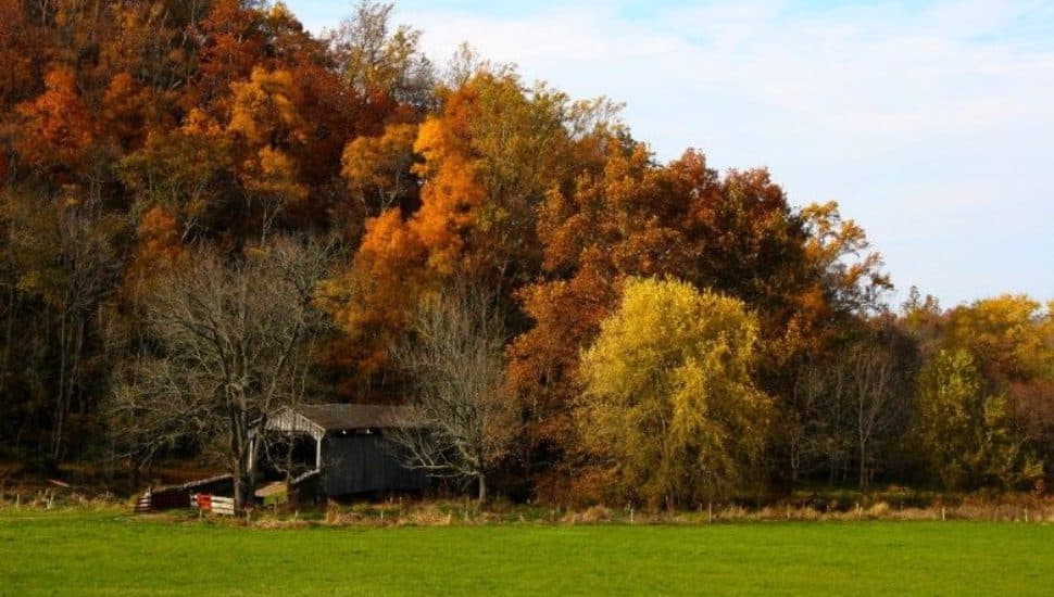 Brandywine Valley scene in the fall.